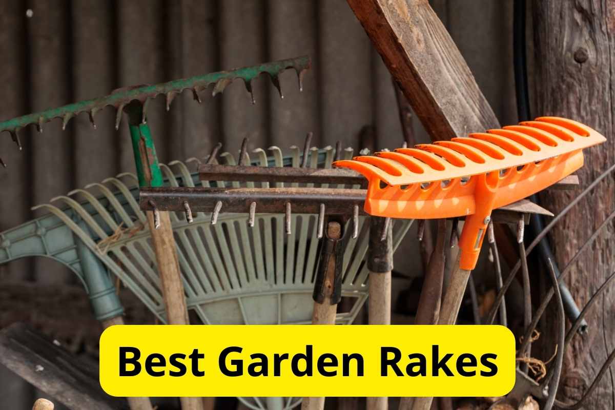 wooden rake and a metal rake with text overlay on it
