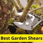 10 Best Garden Shears of 2021 [Reviews]