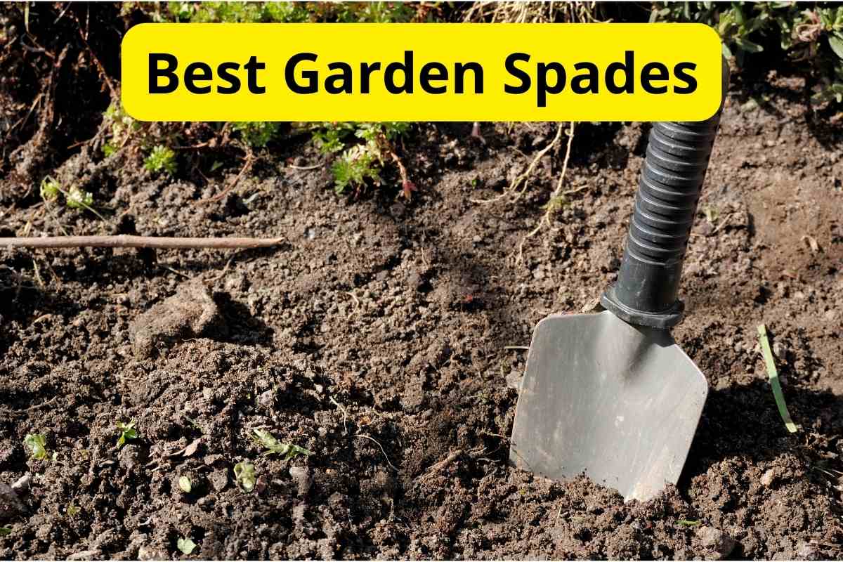 spade in a gardening yard with text overlay on it