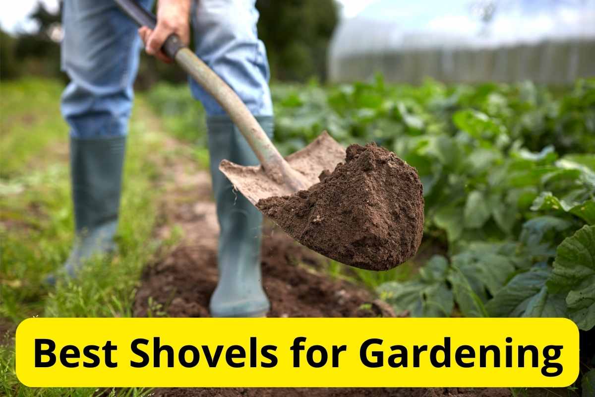 man with shovel digging with text overlay on it