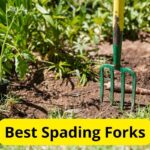 8 Best Spading Forks of 2024 [Reviews]