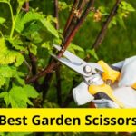 8 Best Garden Scissors of 2025  [Reviews]