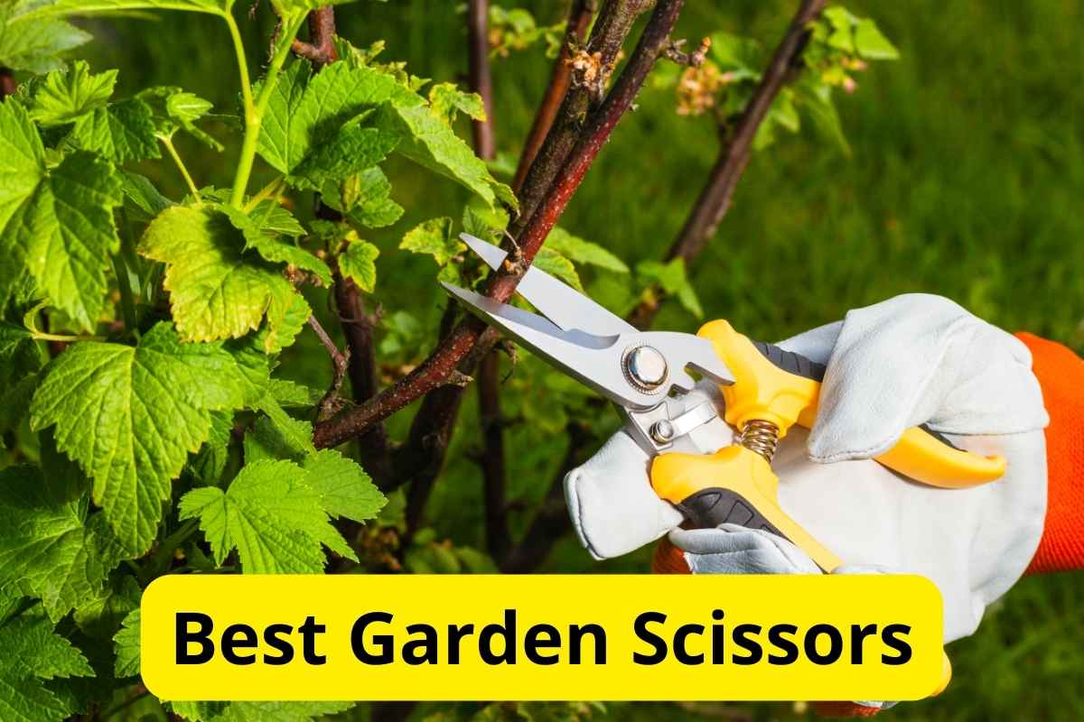 gardener's hand with pruning scissors with text overlay on it