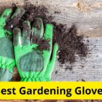 8 Best Gardening Gloves of 2023 [Reviews]