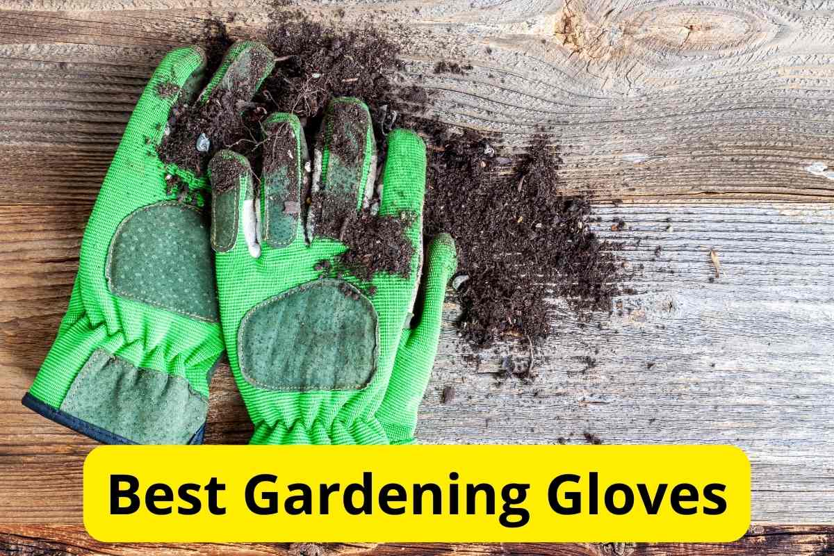 gardening gloves on a wooden surface with text overlay on it