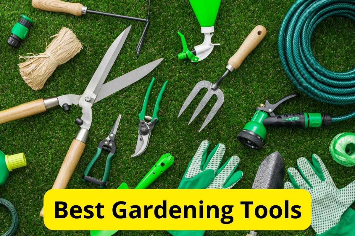 Gardening Tools on a surface with text overlay on it
