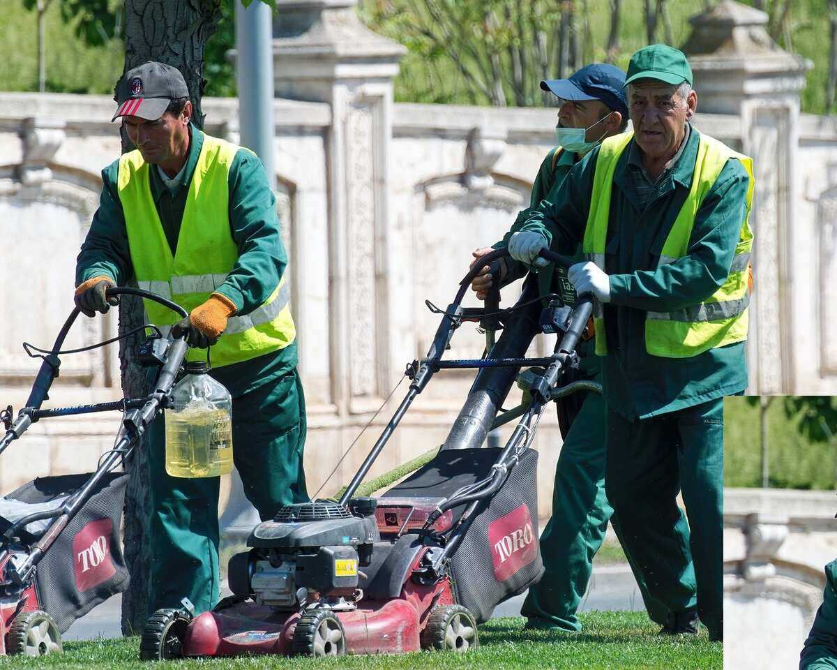 Pros And Cons Of Starting A Lawn Care Business Lawnstarter