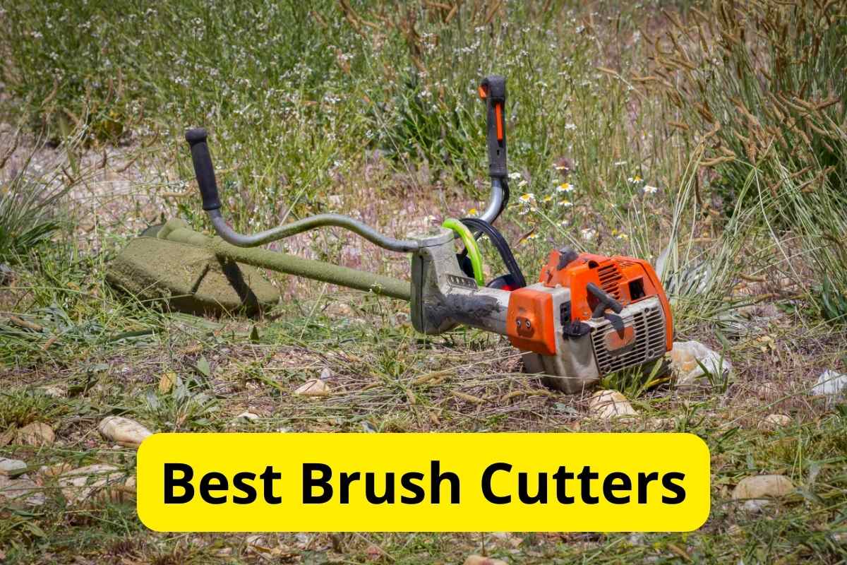 brush cutter cutting weeds in a garden with text overlay on it