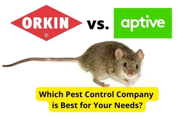 Orkin Vs. Aptive Environmental: Pest Control Companies Compared ...