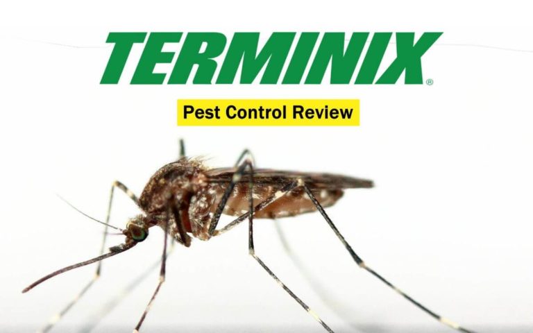 Terminix Full Review - Ratings, Prices, Pros & Cons