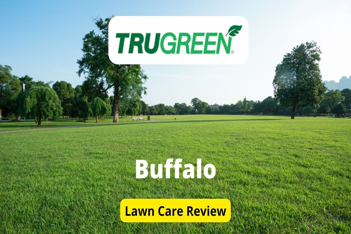 Trugreen In Buffalo 