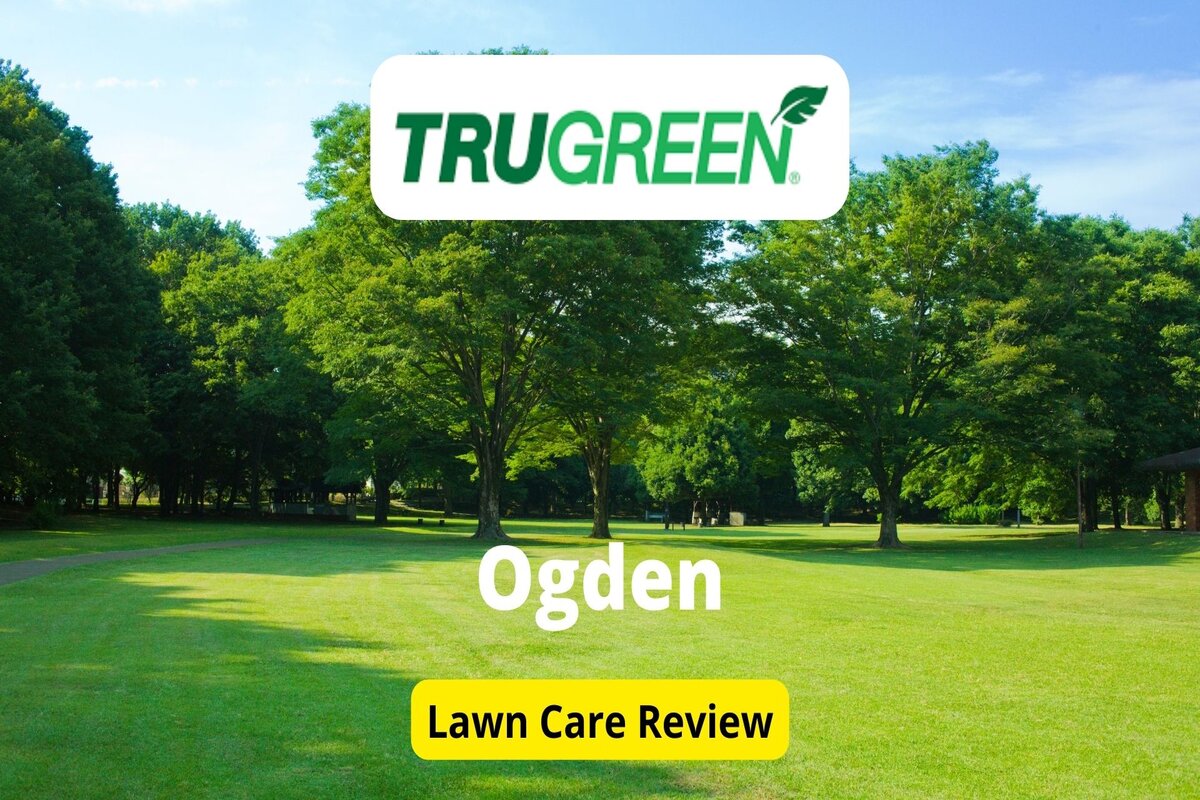 Trugreen Lawn Care Dallas Reviews: Unveiling the Unbeatable Power!