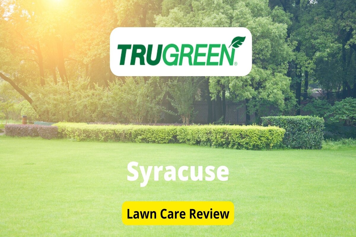 TruGreen Lawn Care in Syracuse Review - Lawnstarter