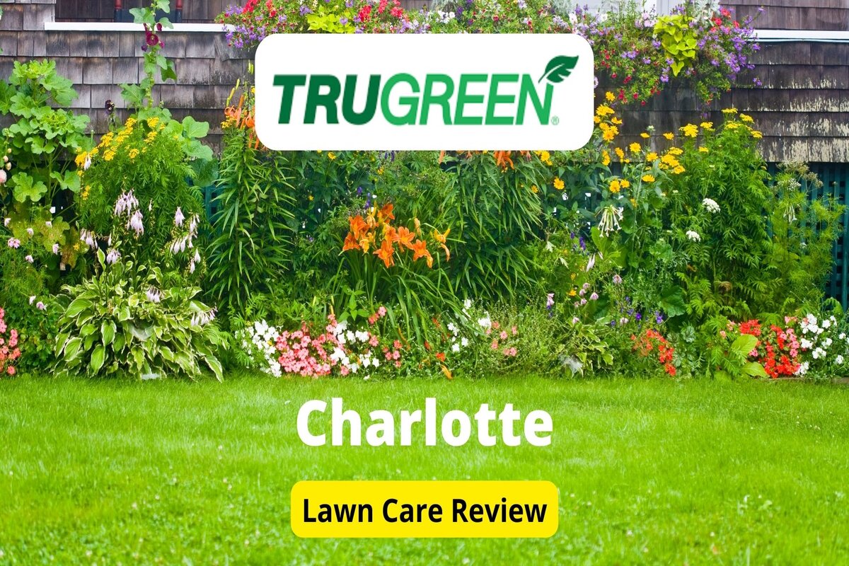 TruGreen Lawn Care in Charlotte Review - Lawnstarter