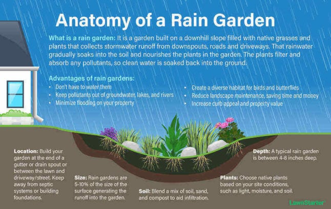 How To Build A Rain Garden: 6 Steps