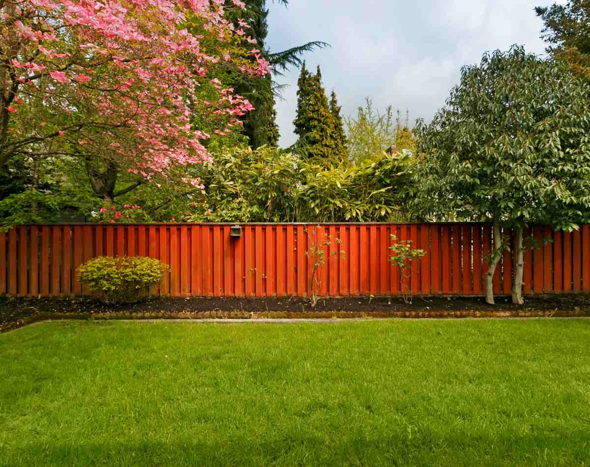 cheap garden fence