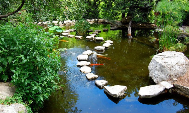 12 Koi Pond Design Ideas