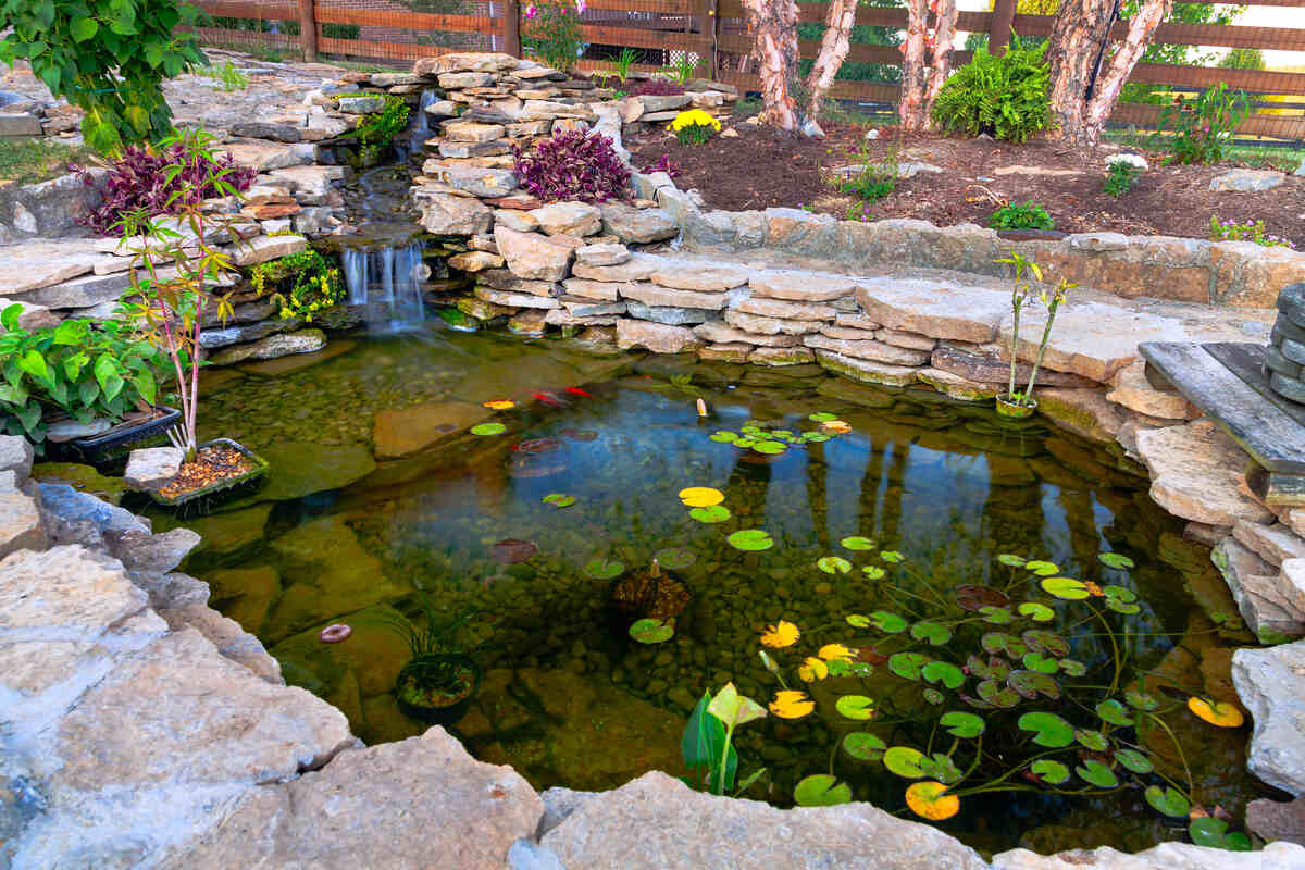 A Complete Guide to Koi Pond Maintenance