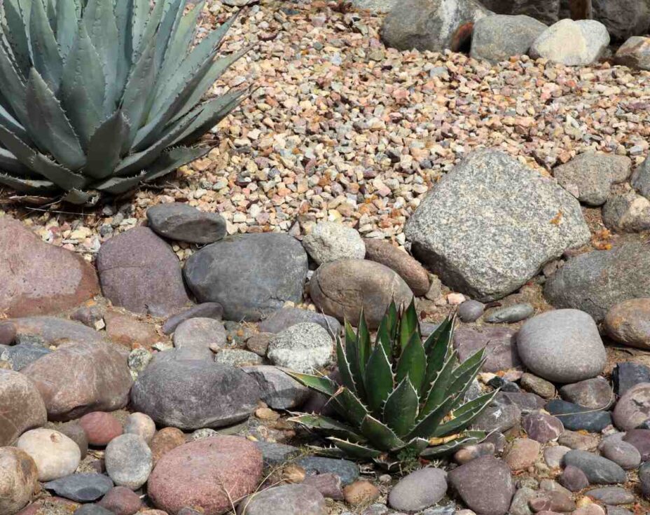 14 Xeriscaping Ideas For Your Yard