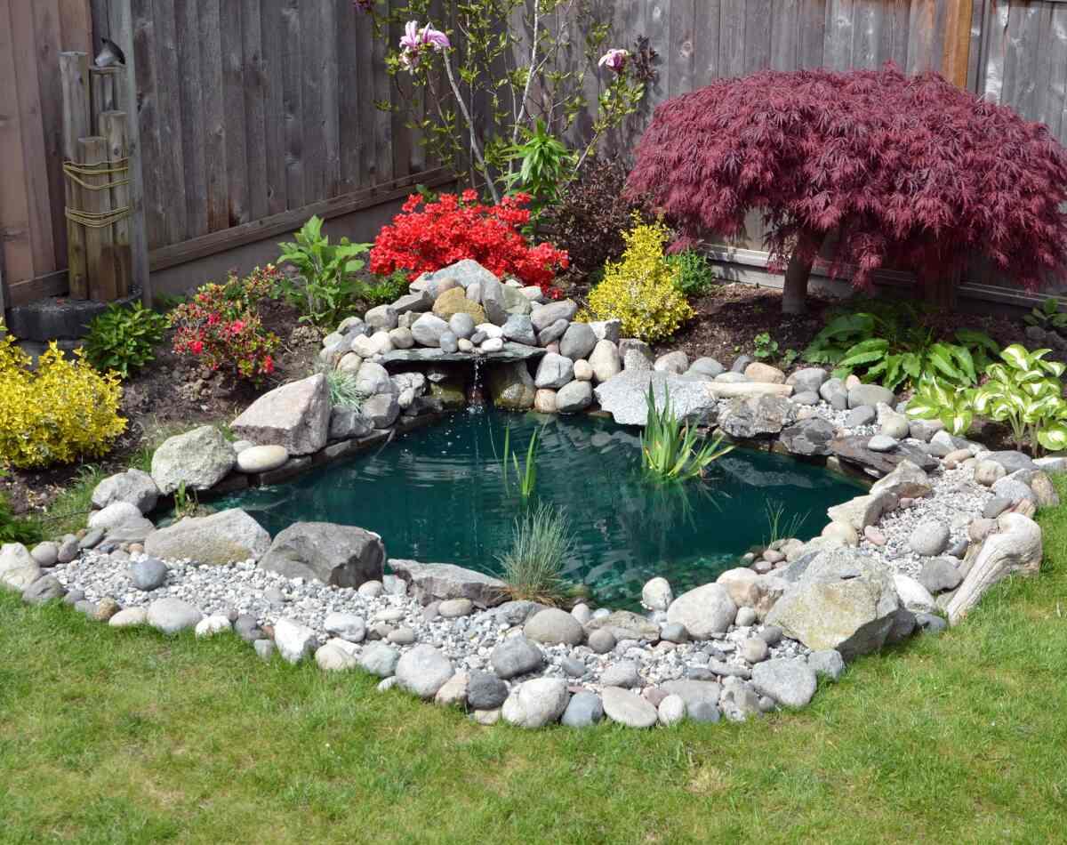 Garden and Pond Covers  Pond covers, Water gardens pond, Diy pond