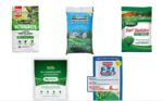 5 Best Fertilizers for St. Augustinegrass in 2024 [Reviews]