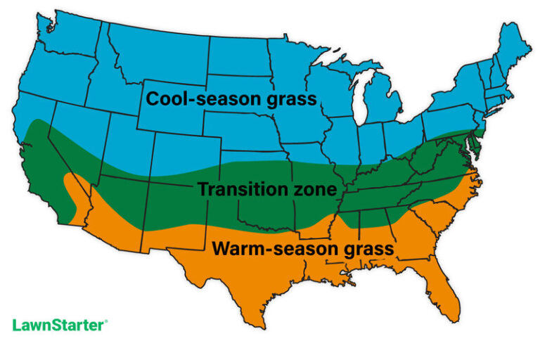 When is the Best Time to Plant Grass Seed?