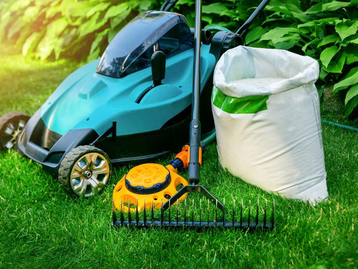 When to Fertilize Lawns in Texas