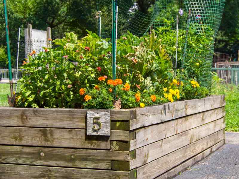 Raised bed garden