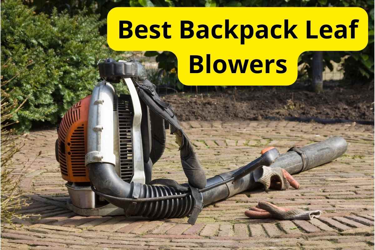 Backpack Leaf Blower on a ground with text overlay on it