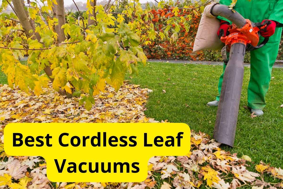 leaf vacuum cleaning leaves with text overlay on it