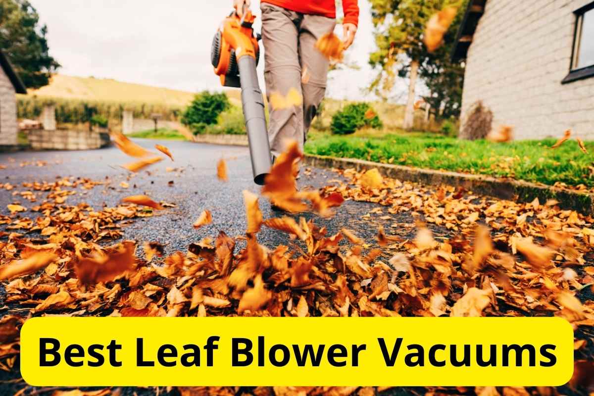 Leaf Blower vacuum cleaning driveway with text overlay on it