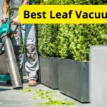 9 Best Leaf Vacuums of 2023 [Reviews]