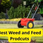 7 Best Weed and Feed Products of 2023 [Reviews]