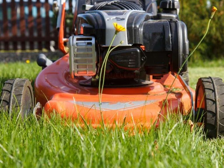 How To Change The Oil In A Lawn Mower In 9 Steps