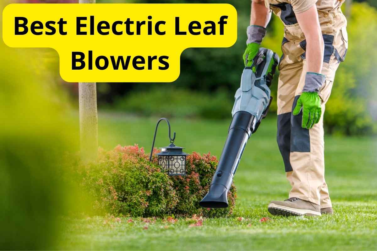 gardener with cordless leaf blower with text overlay on it