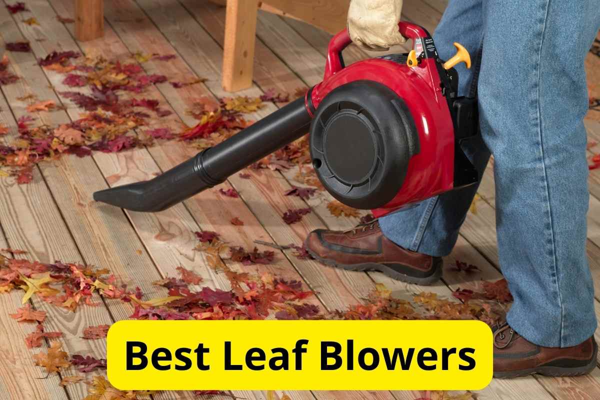 leaf blower cleaning leaves on floor with text overlay on it