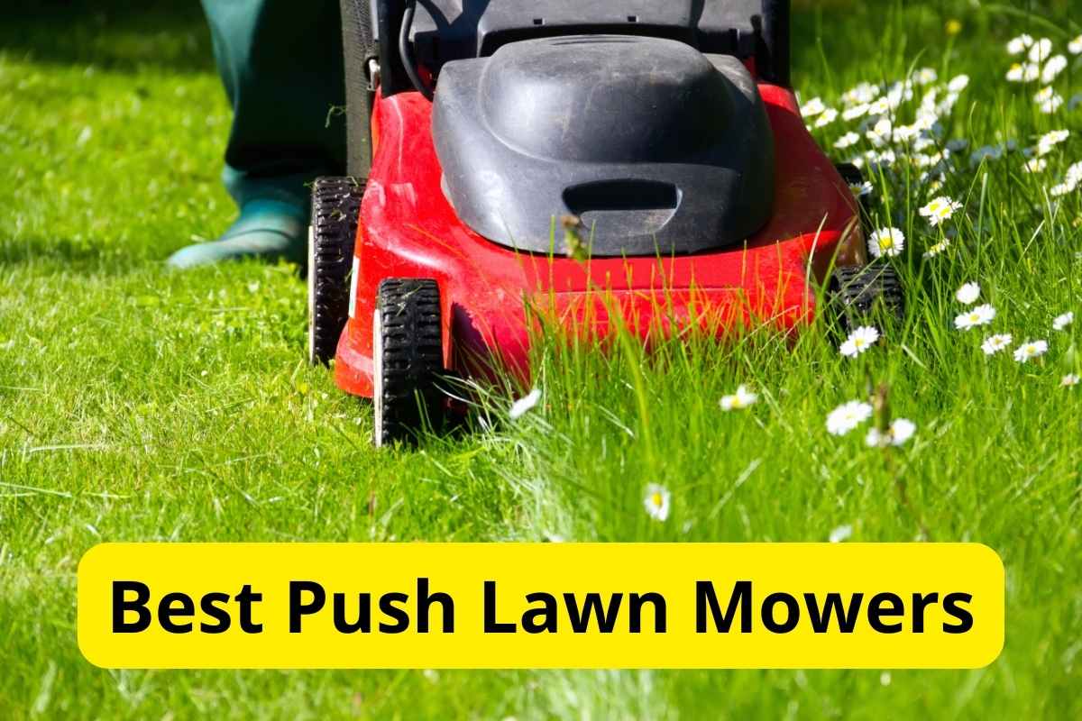 push lawn mower in a yard with text overlay on it
