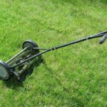 How Much Does Lawn Care Cost in Salinas?