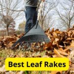 7 Best Leaf Rakes of 2023 [Reviews]