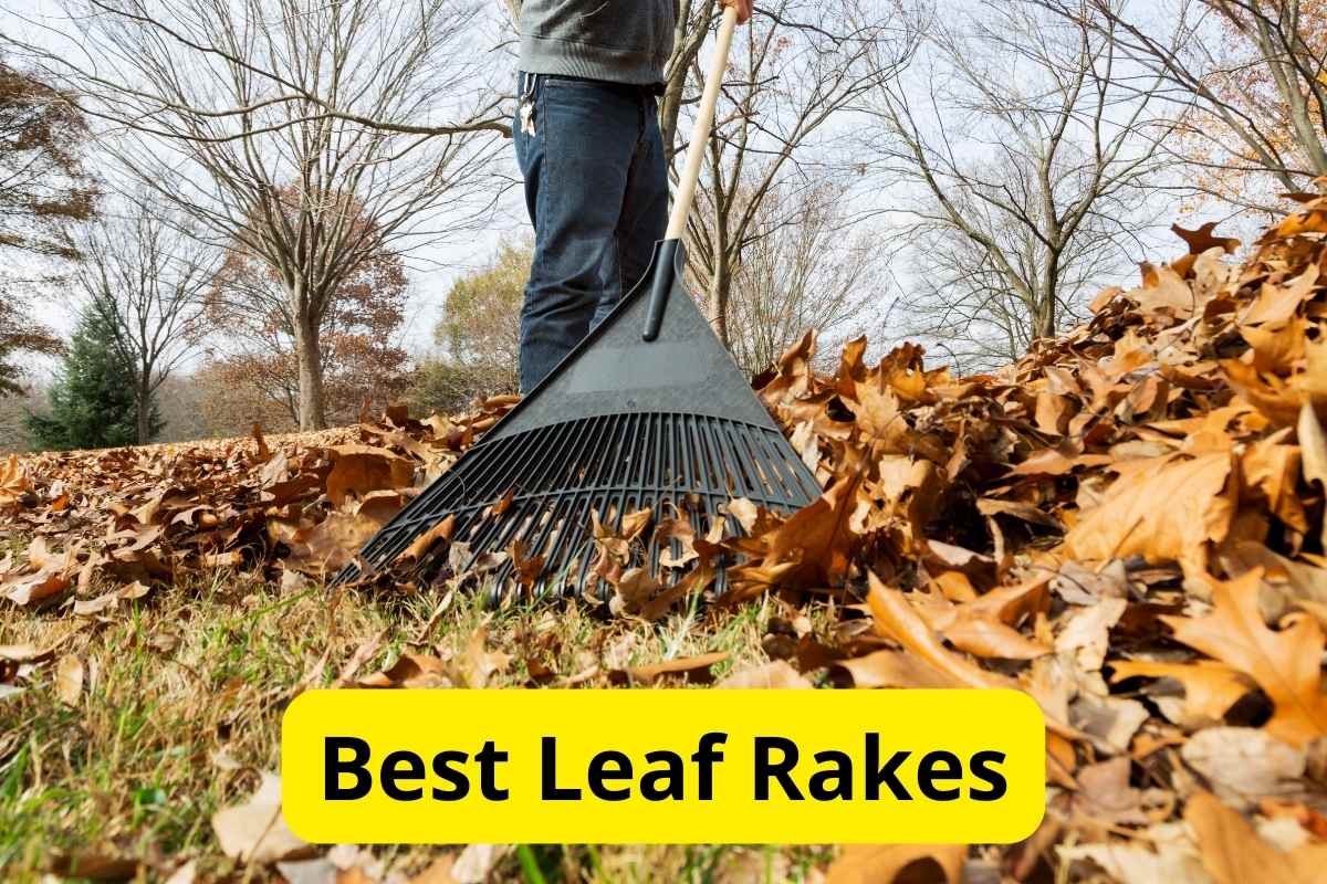 person raking leaves from a yard with text overlay on it