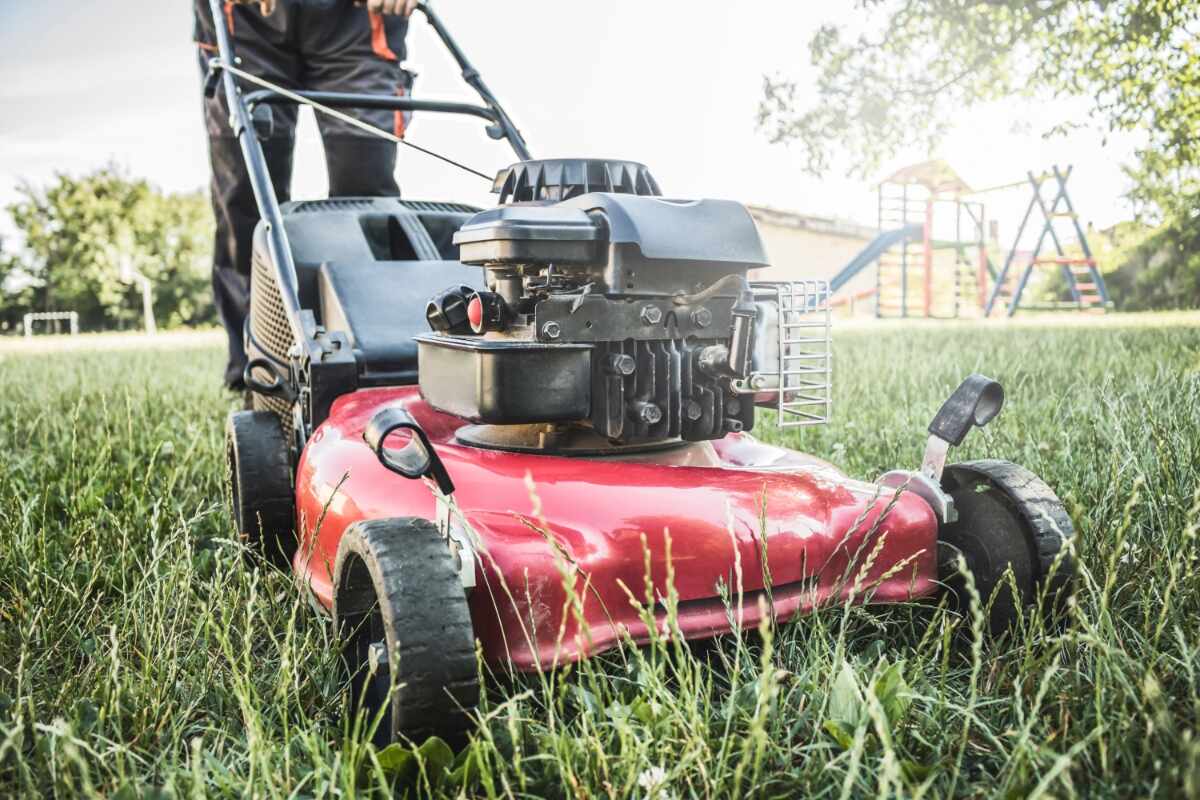 The 9 Best Lawn Mowers to Keep Your Yard Well-Groomed