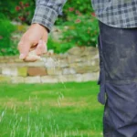 15 Spring Lawn Care Tips