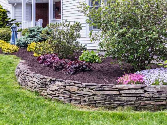 How Often Should You Replace Mulch?