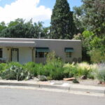 Xeriscaping Guide for New Mexico Homeowners