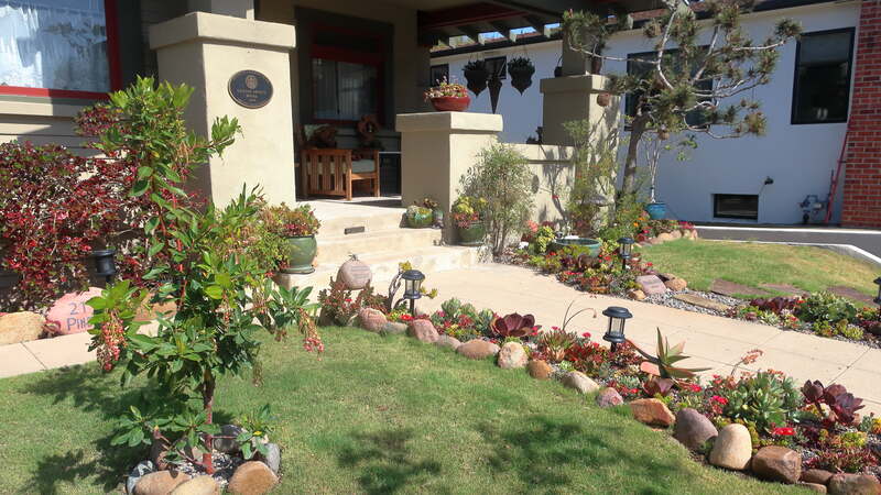 succulent garden walkway in front of a house
