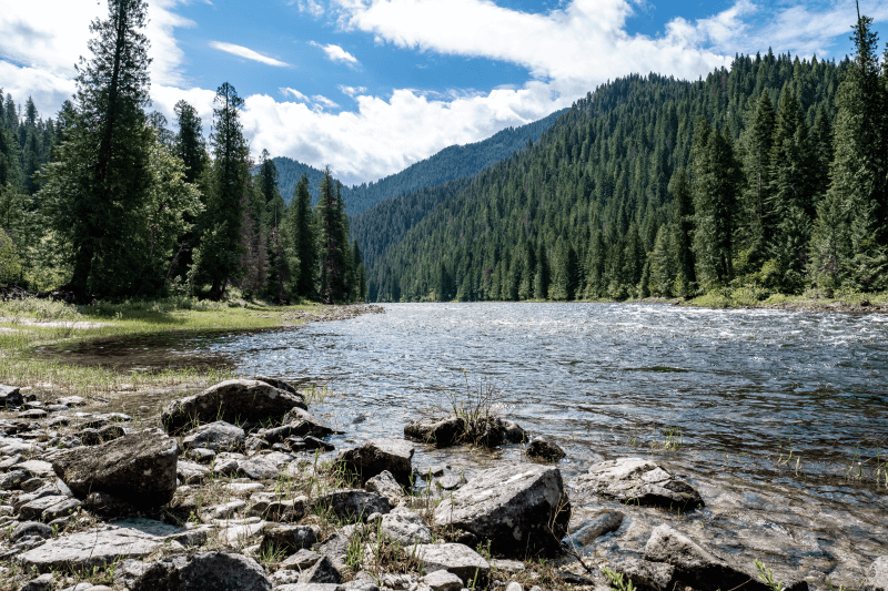 A river splits between two dense forests in Idaho County, Idaho