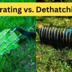 Aeration vs Dethatching: What’s the Difference?