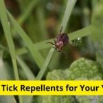 5 Best Tick Repellents for Your Yard [Reviews]