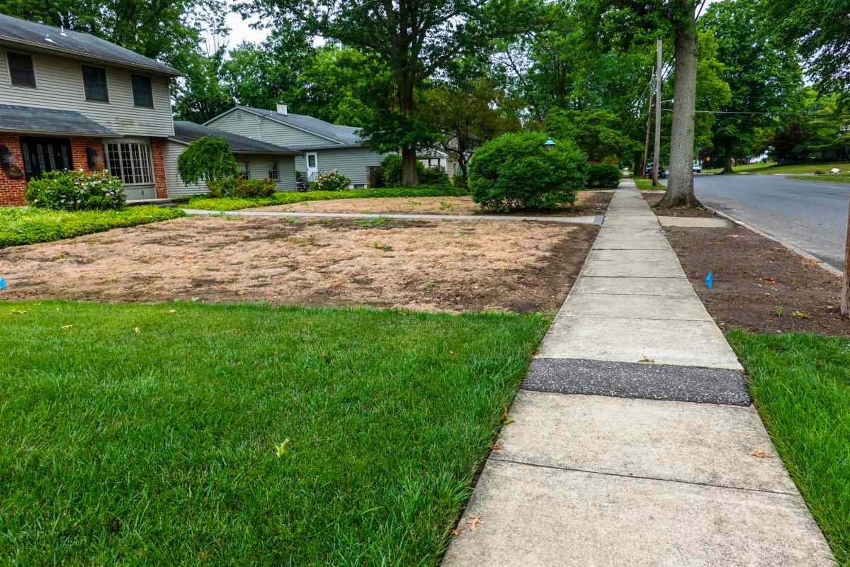 Dead brown lawn in front of a large house