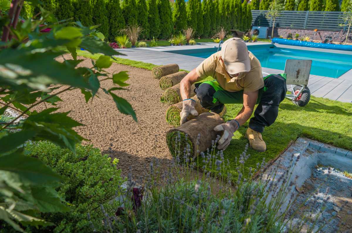 Gardener rolling out sod around swimming pool